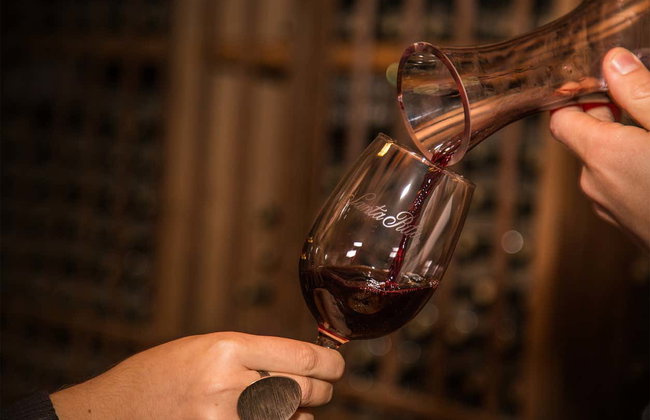 Visita a las bodegas de Santa Rita - Foto 6