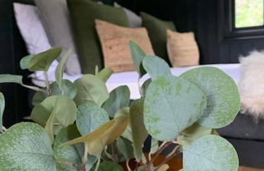 Shepherd's Hut - Sleeps 2 - Pet Friendly - Parking - Foto 46