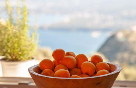 Lorantina Luxury Sea View House with Starlink WiFi near Barbati & Ipsos - Photo 23