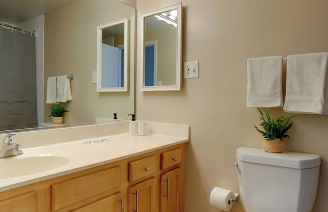 Modern Apartment with Top Amenities - Photo 33