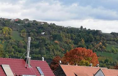 Ferienappartement Obrigheim - Foto 23