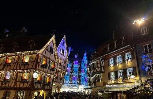 Maison proche du centre de Colmar - Chez Michel - Foto 15