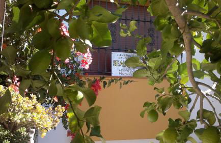 Casa rural Huerta San Miguel 2010 - Foto 28