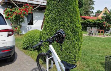 Nina Kopalino - Foto 18