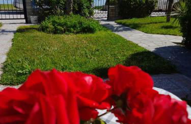 Cozy maisonette in Pefkochori Chalkidiki - Photo 50