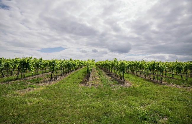 Chic Apartment in Segonzac With Swimming Pool - Foto 79