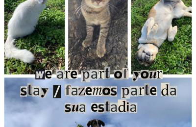 The Oak Tree Farm - Open Layout Concept by Portus Alacer - Ideal for Families - Unplug, Unwind, and Reconnect with Nature - Foto 26