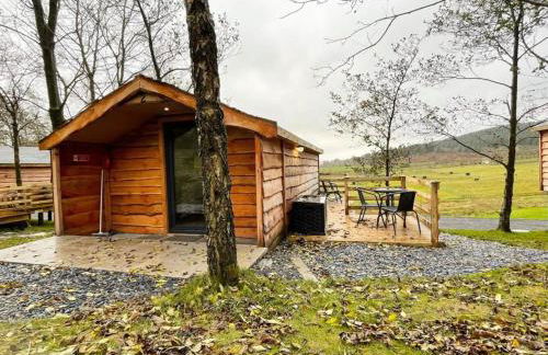 1 Bedroom Log Cabin in Parc Pen y Bryn Sleep 2/3 - Photo 1