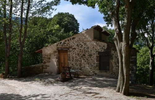 azienda agrituristica la torretta - Foto 33