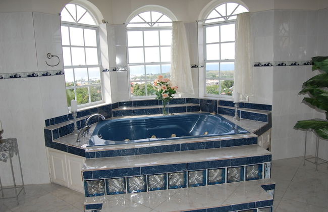 Celebrity Villa Jamaica - Photo 42