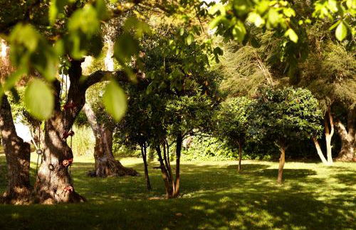 Quinta Do Miguel - Foto 26