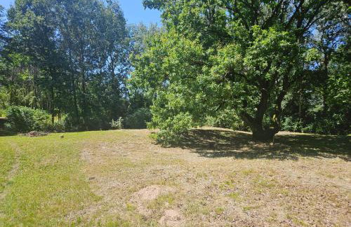 Dom z linią brzegową Narwi 2 - Photo 7