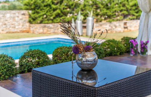 Istria Moderna in Muntić (Haus für 4-6 Personen) - Foto 22