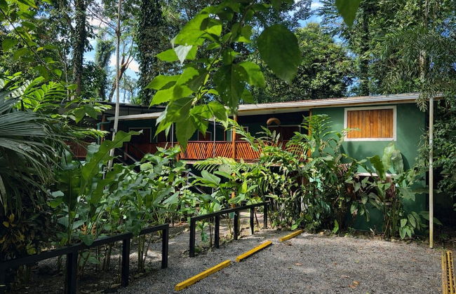 Green Jungle House - Photo 63