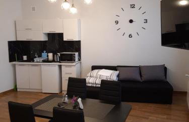 Apartamenty Polna - Foto 21