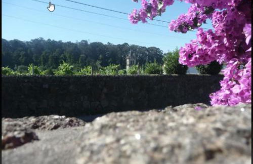 São Braz Terrace - Foto 48