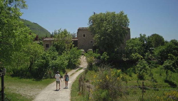 Visitando una granja local