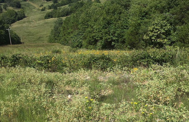 Cherokee mountain log cabin resort - Foto 74