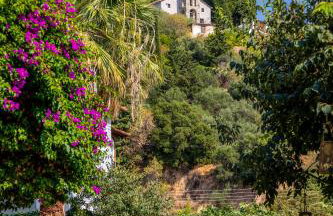 Pelion Luxury Villa Ivy - Foto 8