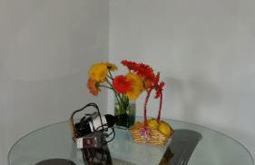 Дуплекс " Torre Gala" Playa Flamenca - Photo 49