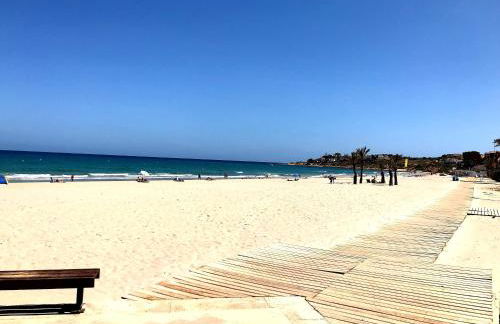 Céntrico Conjunto Habitacional Alicante - Photo 39