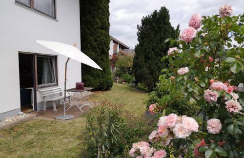 Haus Am Waldpark - Foto 16