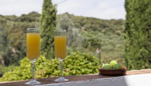 Cortijo La Algallumbilla - Foto 4