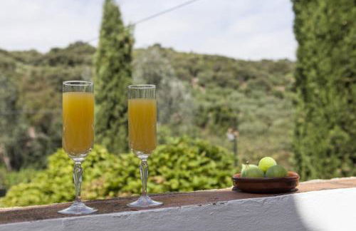 Cortijo La Algallumbilla - Foto 4