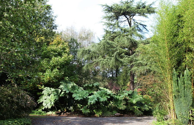 Spacious 11-bed Family Retreat - Photo 41