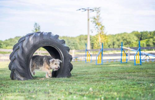Ferienhaus S`bunde Heisle - Foto 19