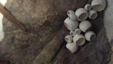 Summer Stoned Maisonette - Foto 5