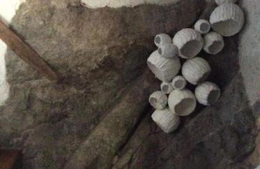 Summer Stoned Maisonette - Foto 5