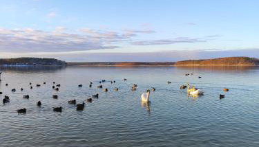 domek przy Jodłowej - Foto 2