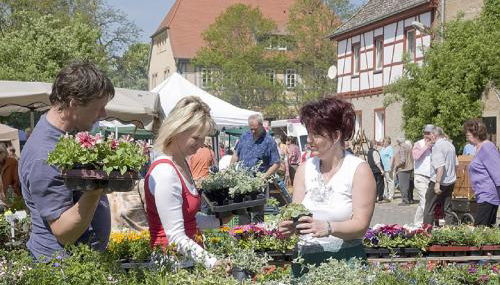 Gutshaus von Bismarck - Foto 5