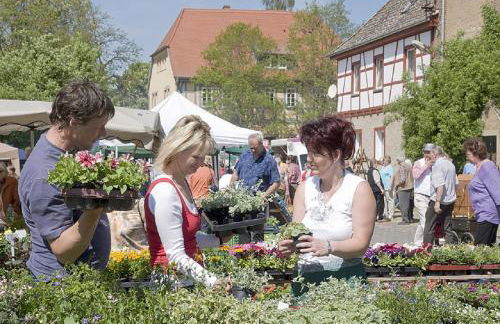 Gutshaus von Bismarck - Foto 5