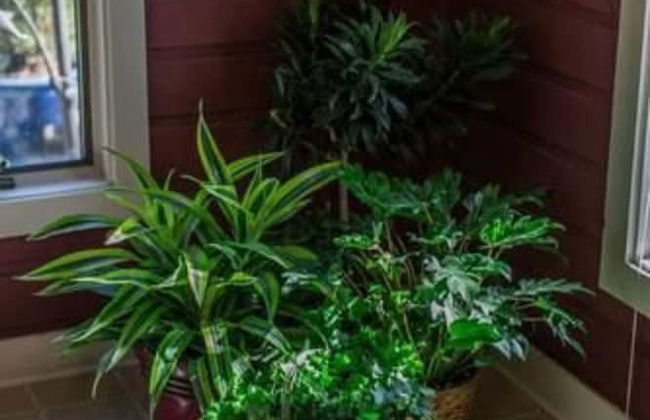 Garden Oasis Near Downtown - Photo 25