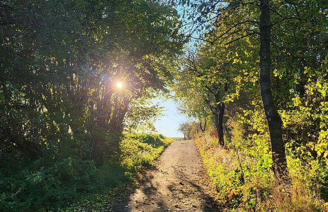 Sonnige Wohnung in Bad Driburg mit Garten - Foto 57
