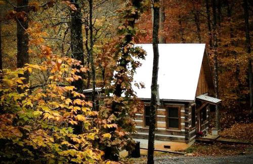 Beautiful Waterfront Cabin with Hot Tub near Winston-Salem, North Carolina - Foto 3