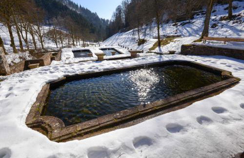Ferienwohnung Fürstenkopf - Foto 30