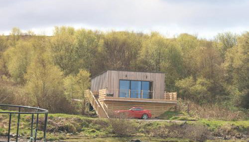 The Duckling - Photo 3