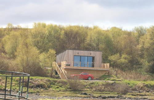 The Duckling - Foto 3