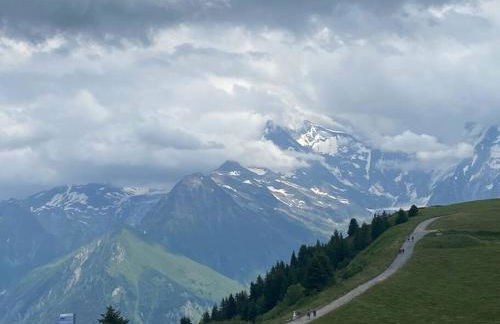 Residence le Grand Panorama - with garden & view - Foto 34