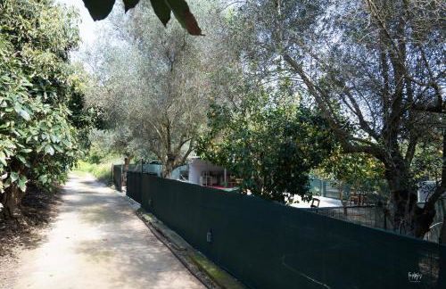 Lemon Garden Camper - Photo 38