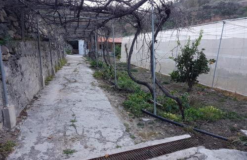 Casa Rural La Hoyita de Tunte - Foto 24