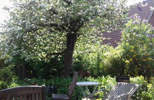 Holiday apartment 2 in the Maaßen country house - Foto 16