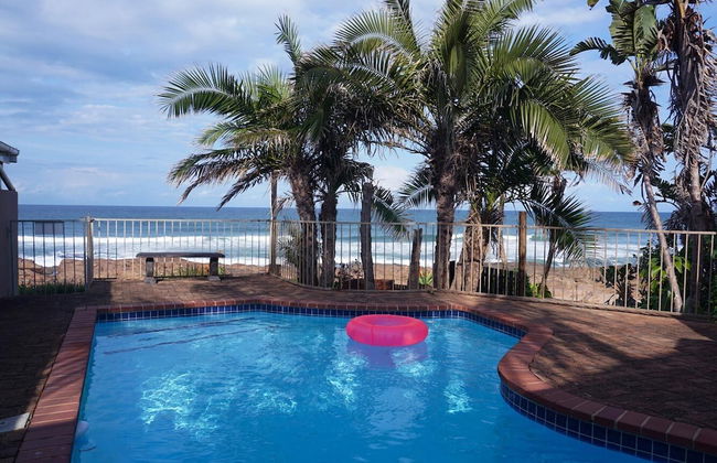 Southern Comfort - Starfish - Foto 9