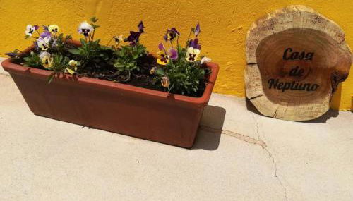 Casa Neptuno - Photo 4