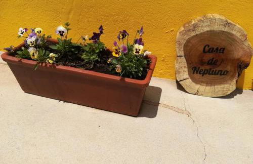 Casa Neptuno - Photo 4