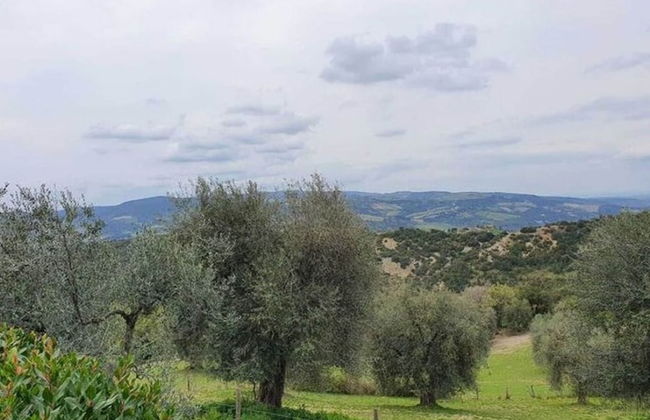 Tuscan Scenic View Stay - Foto 16