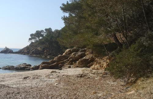 Une Nuit à Bali - Appartement cocooning - Foto 41